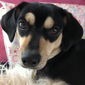 Meet your Posher, Mary